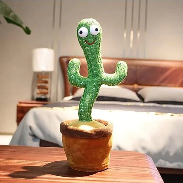 kaktusz