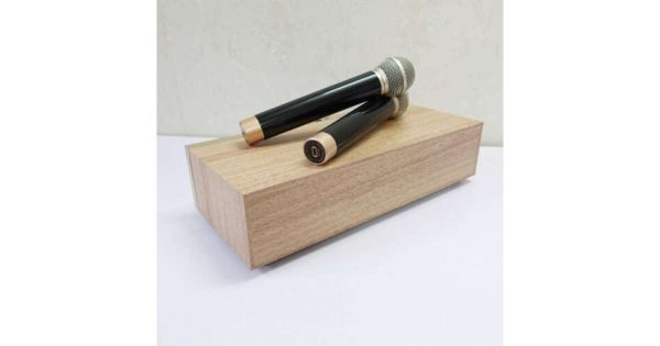 Peterhot A133 Hordozható ,akkumulátoros bluetooth hangszoró, led kijelzővel és 2 db mikrofonnal ,41,5 x 24,5 x 13 cm, 30 W